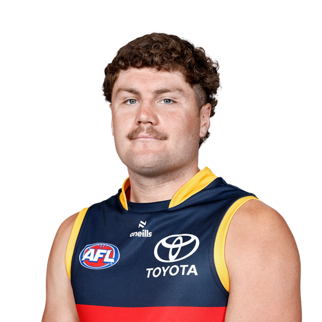 Harry Schoenberg profile picture
